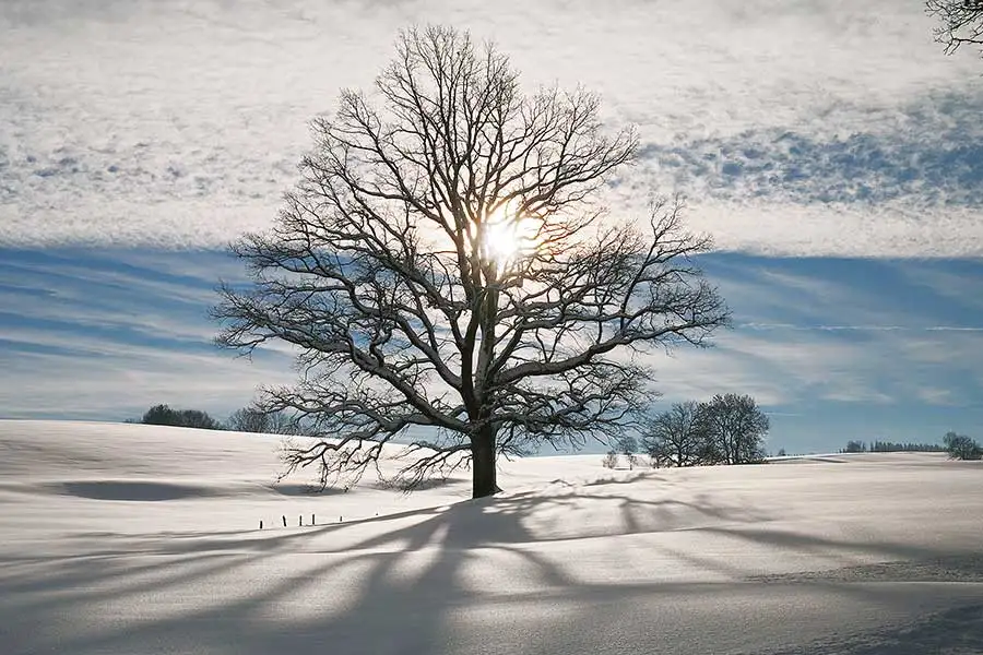 Betzigau im Winter Betzigau im Winter